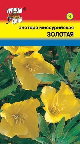 Купить оптом в Ботанике семена Энотера Золотая миссурийская УУ бренд Урожай Удачи