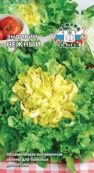 Купить оптом в Ботанике семена Салат Нежный эндивий Сед бренд СеДеК
