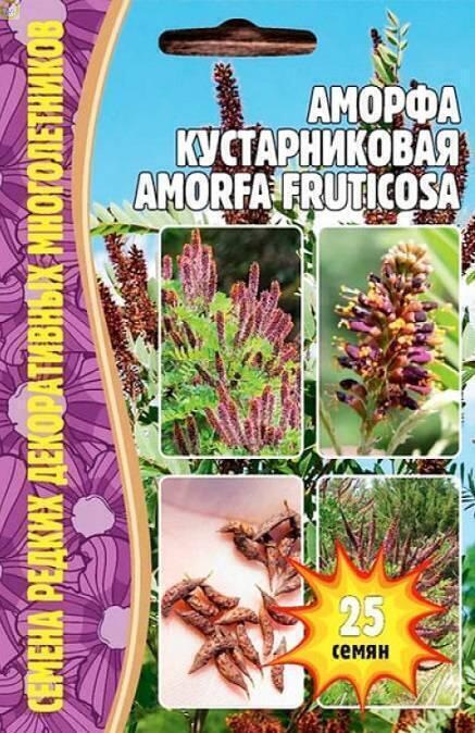 Купить оптом в Ботанике семена Аморфа кустарниковая Реш бренд Решение, ООО