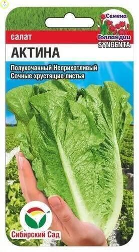 Купить оптом в Ботанике семена Салат Актина СС бренд Сиб.сад