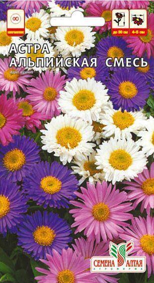 Купить оптом в Ботанике семена Астра Альпийская смесь СА бренд Семена Алтая