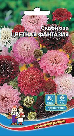 Купить оптом в Ботанике семена Скабиоза Цветная фантазия УД бренд Уральский дачник