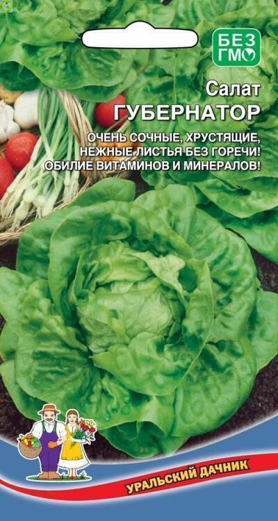 Купить оптом в Ботанике семена Салат Губернатор УД бренд Уральский дачник