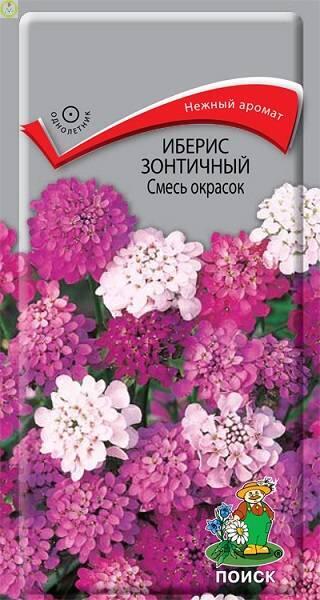 Купить оптом в Ботанике семена Иберис Смесь окрасок зонтичный Поиск бренд Поиск