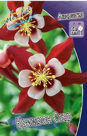 Купить оптом в Ботанике Аквилегия Кримзон стар 2 шт