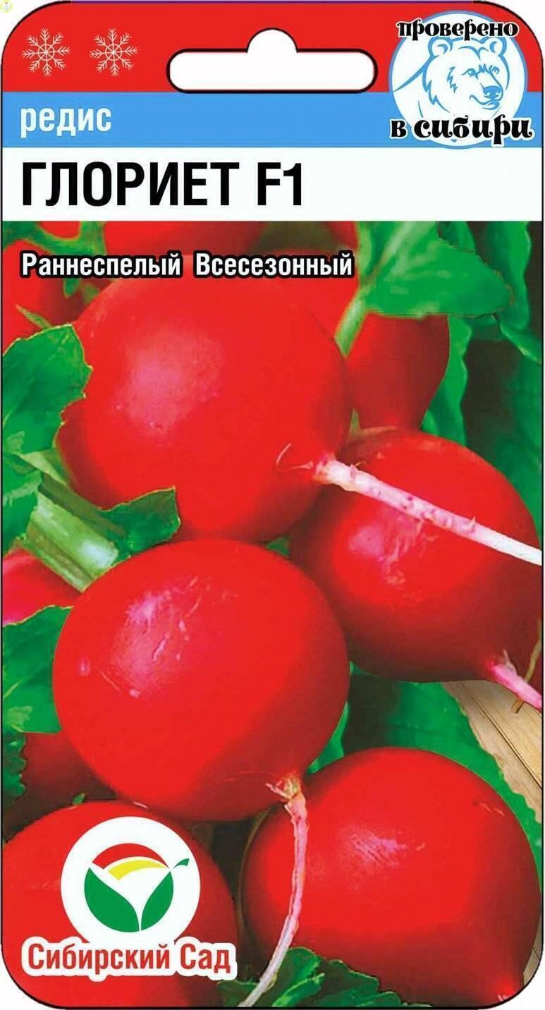 Купить оптом в Ботанике семена Редис Глориэт F1 СС бренд Сиб.сад