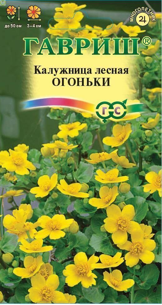 Купить оптом в Ботанике семена Калужница Огоньки лесная Гав бренд Гавриш