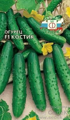 Купить оптом в Ботанике семена Огурец Костик F1 Сед бренд СеДеК
