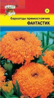 Купить оптом в Ботанике семена Бархатцы Фантастик махровые УУ бренд Урожай Удачи