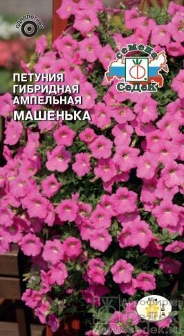 Купить оптом в Ботанике семена Петуния Машенька F1 Сед бренд СеДеК