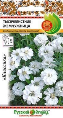 Купить оптом в Ботанике семена Тысячелистник Жемчужница НК бренд НК