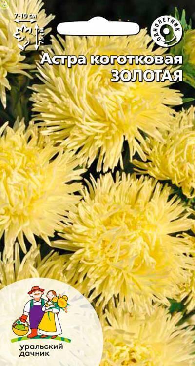 Купить оптом в Ботанике семена Астра Золотая УД бренд Уральский дачник