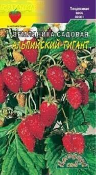 Купить оптом в Ботанике семена Земляника Альпийский гигант ЦС бренд Цветущий Сад