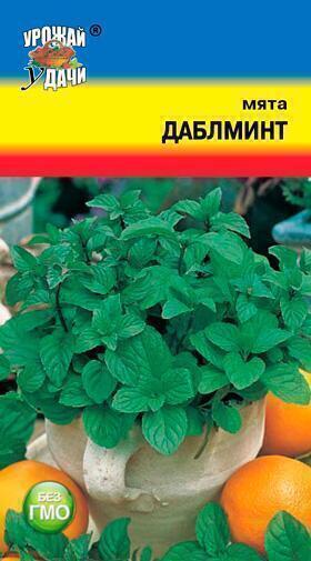 Купить оптом в Ботанике семена Мята Даблминт УУ бренд Урожай Удачи