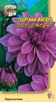 Купить оптом в Ботанике семена Георгина Фигаро фиолетовая УУ бренд Урожай Удачи