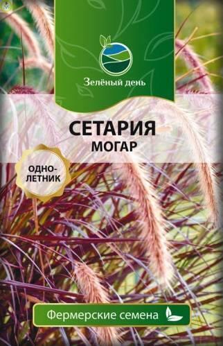 Купить оптом в Ботанике семена Сетария Могар Реш бренд Решение, ООО