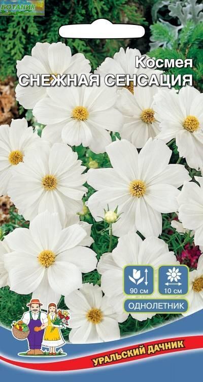 Купить оптом в Ботанике семена Космея Снежная сенсация УД бренд Уральский дачник