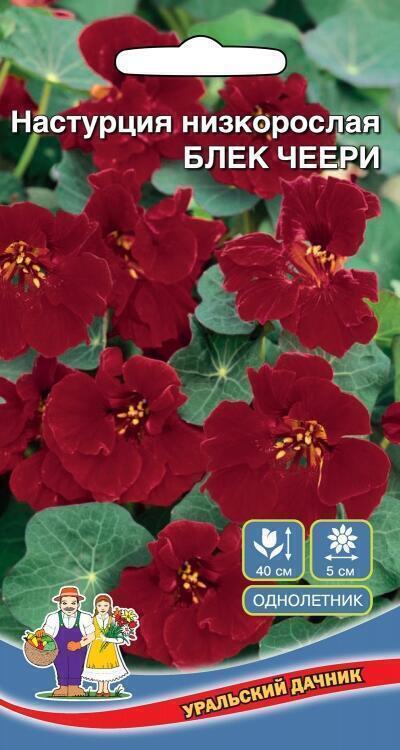 Купить оптом в Ботанике семена Настурция Блек черри УД бренд Уральский дачник