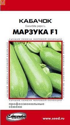 Купить оптом в Ботанике семена Кабачок Марзука F1 ССО бренд Сортсемовощ