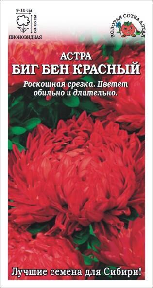 Купить оптом в Ботанике семена Астра Биг Бен красный ЗС бренд Золотая сотка