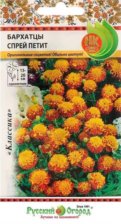 Купить оптом в Ботанике семена Бархатцы Спрей Петит НК бренд НК
