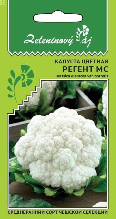 Купить оптом в Ботанике семена Капуста цветная Регент МС УД бренд Уральский дачник