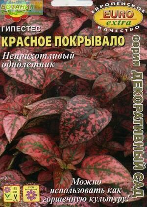 Купить оптом в Ботанике семена Гипестес Красное покрывало Аэл бренд Аэлита