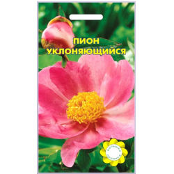Купить оптом в Ботанике семена Пион Уклоняющийся УУ бренд Урожай Удачи