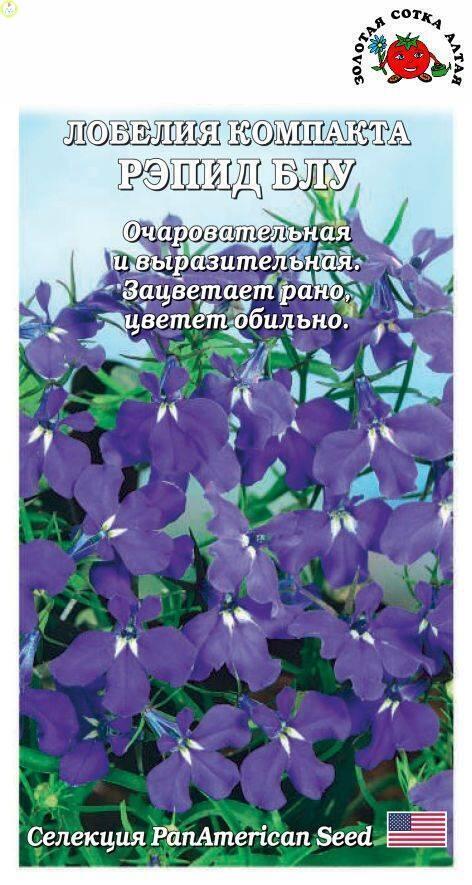Купить оптом в Ботанике семена Лобелия Рэпид Блю компакта ЗС бренд Золотая сотка