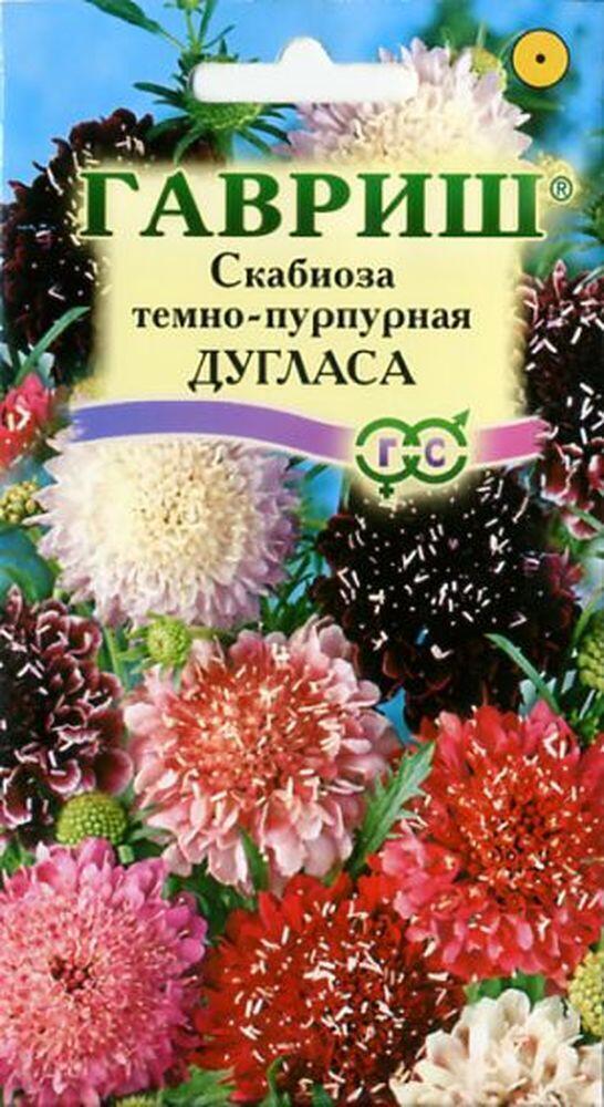 Купить оптом в Ботанике семена Скабиоза Дугласа темнопурпурная смесь Гав бренд Гавриш