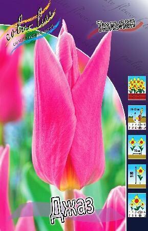 Купить оптом в Ботанике Тюльпан Джаз 10 шт