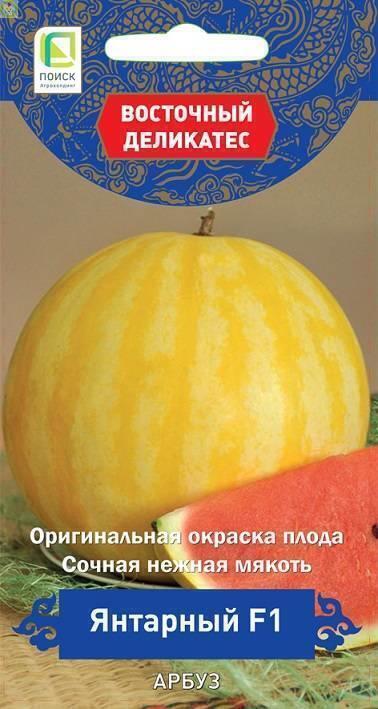 Купить оптом в Ботанике семена Арбуз Янтарный F1 Поиск бренд Поиск