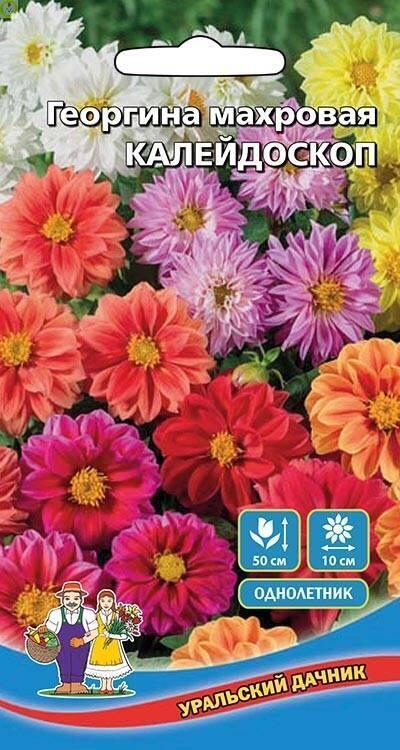 Купить оптом в Ботанике семена Георгина Калейдоскоп махровая УД бренд Уральский дачник