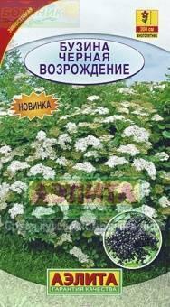 Купить оптом в Ботанике семена Бузина Возрождение черная Аэл бренд Аэлита