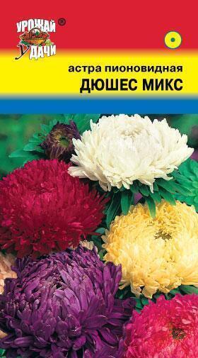 Купить оптом в Ботанике семена Астра Дюшес смесь микс УУ бренд Урожай Удачи