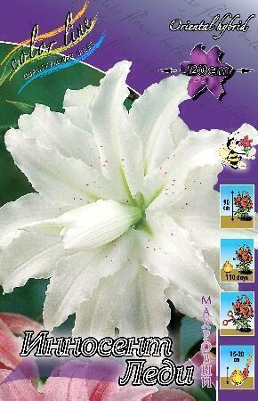 Купить оптом в Ботанике Лилия Индиан Диамонт 10 шт