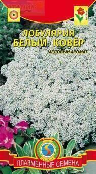 Купить оптом в Ботанике семена Алиссум Белый коврик Плз бренд Плазмас
