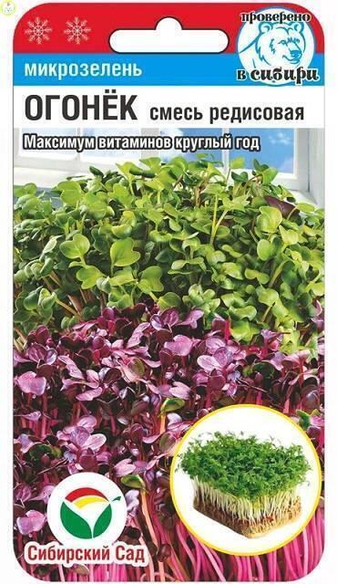 Купить оптом в Ботанике семена Микрозелень Огонек смесь редисовая СС бренд Сиб.сад