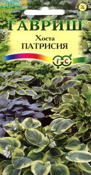 Купить оптом в Ботанике семена Хоста Патрисия смесь Гав бренд Гавриш