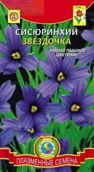 Купить оптом в Ботанике семена Сисюринхий Звездочка Плз бренд Плазмас