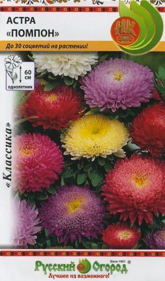 Купить оптом в Ботанике семена Астра Помпон смесь НК бренд НК