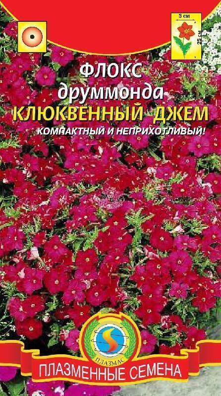 Купить оптом в Ботанике семена Флокс Клюквенный джем друммонда Плз бренд Плазмас
