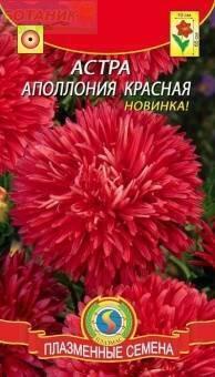Купить оптом в Ботанике семена Астра Апполония красная Плз бренд Плазмас