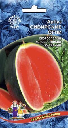 Купить оптом в Ботанике семена Арбуз Сибирские огни УД бренд Уральский дачник