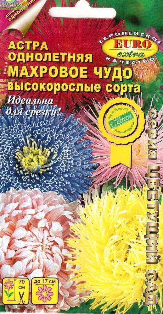 Купить оптом в Ботанике семена Астра Махровое чудо смесь Аэл бренд Аэлита