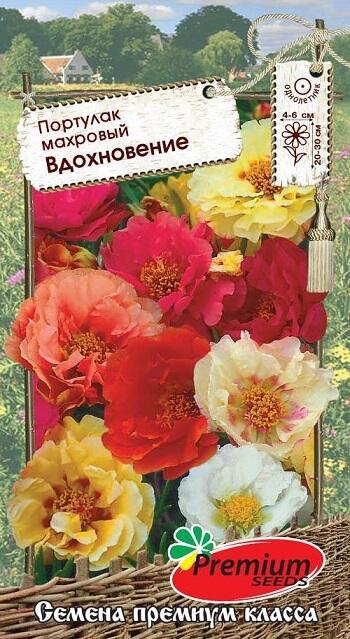 Купить оптом в Ботанике семена Портулак Вдохновение ПС бренд Премиум Сидс