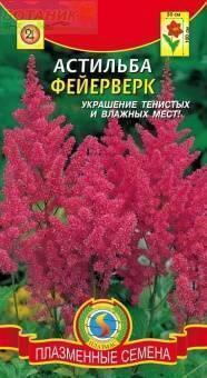 Купить оптом в Ботанике семена Астильба Фейверверк Плз бренд Плазмас