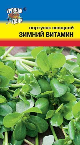 Купить оптом в Ботанике семена Портулак Зимний витамин УУ бренд Урожай Удачи
