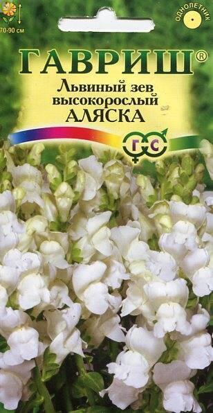 Купить оптом в Ботанике семена Львиный зев Аляска Гав бренд Гавриш