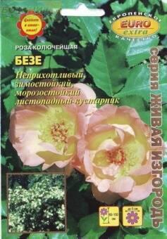 Купить оптом в Ботанике семена Роза Безе Аэл бренд Аэлита